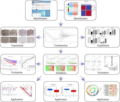 Glycosylation-related molecular subtypes and risk score of hepatocellular carcinoma: Novel insights to clinical decision-making